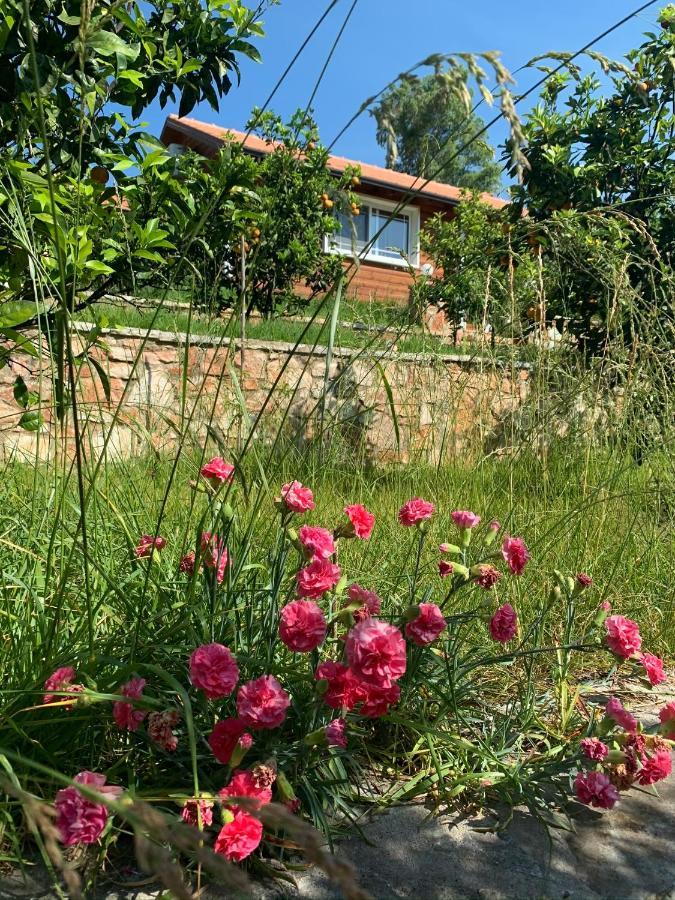 Villa The Mussel House Ksamil Exterior foto